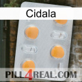 Cidala 24